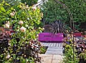 BARBARA KENNINGTON GARDEN  BRIGHTON: VIEW THROUGH METAL ARCH WITH ROSES PAST PURPLE BEECH HEDGE TO POOL WITH PINK WALL  PHORMIUM AND WATERFALL