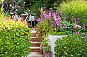 BARBARA KENNINGTON GARDEN  BRIGHTON: VIEW UP STEPS IN TERRACED GARDEN TO PATIO WITH TABLE AND CHAIRS