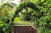 BARBARA KENNINGTON GARDEN  BRIGHTON: LIVING WILLOW ARCH LEADING FROM WOODLAND TO THE LAWN
