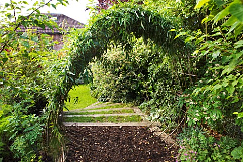 BARBARA_KENNINGTON_GARDEN__BRIGHTON_LIVING_WILLOW_ARCH_LEADING_FROM_WOODLAND_TO_THE_LAWN