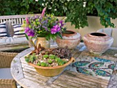 BARBARA KENNINGTON GARDEN  BRIGHTON: CONTAINERS ON THE PATIO TABLE WITH MOSAIC INSETS