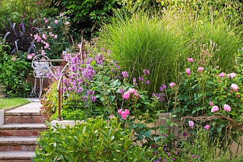 BARBARA_KENNINGTON_GARDEN__BRIGHTON_BORDER_WITH_ROSES_AND_GRASSES_AND_STEPS_WITH_RAILINGS