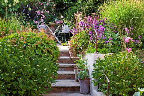 BARBARA_KENNINGTON_GARDEN__BRIGHTON_RAISED_BEDS_AND_STEPS_LEADING_UP_TO_PATIO_AREA_WITH_TABLE_AND_CH