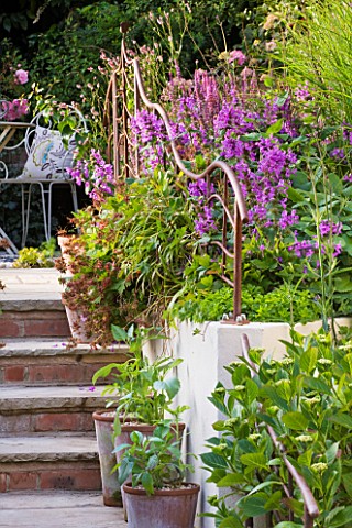 BARBARA_KENNINGTON_GARDEN__BRIGHTON_RAISED_BEDS_AND_STEPS_WITH_RUSTY_METAL_RAILINGS_LEADING_UP_TO_PA