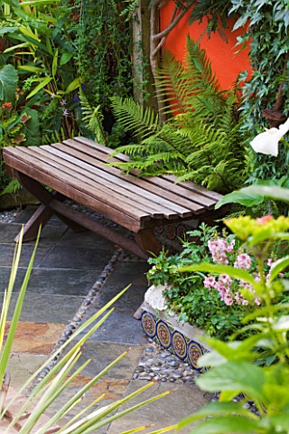 KARLA_NEWELL_GARDEN__BRIGHTON_SMALL_TOWN_GARDEN__WOODEN_SEAT_BENCH_IN_FRONT_OF_FERNS_AND_ORANGE_WALL