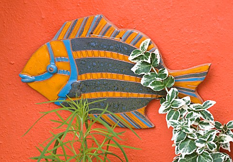 KARLA_NEWELL_GARDEN__BRIGHTON_SMALL_TOWN_GARDEN__ORANGE_WALL_WITH_A_CERAMIC_FISH_BOUGHT_IN_THE_CARIB