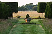 KINGSBRIDGE FARM  BUCKINGHAMSHIRE: FORMAL YEW AVENUE WITH MEADOW GRASS AND CENTRAL FONT AND PLEACHED HORNBEAM  FARMLAND BEYOND