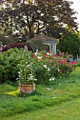 KINGSBRIDGE FARM  BUCKINGHAMSHIRE: WOODLAND EDGE BESIDE LAWN WITH ROSES AND GAZEBO/ SUMMERHOUSE BEHIND