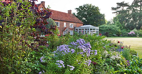 KINGSBRIDGE_FARM__BUCKINGHAMSHIRE_HOUSE_AND_CONSERVATORY_IN_BACKGROUND_WITH_BORDER_WITH_CAMPANULA_LA