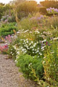 WHATLEY MANOR  WILTSHIRE: HERBACEOUS BORDER BESIDE THE FOUNTAIN TERRACE - LATE SUMMER  SUNSET