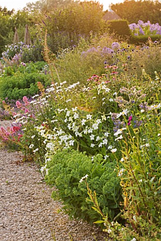 WHATLEY_MANOR__WILTSHIRE_HERBACEOUS_BORDER_BESIDE_THE_FOUNTAIN_TERRACE__LATE_SUMMER__SUNSET