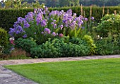 WHATLEY MANOR  WILTSHIRE: HERBACEOUS BORDER BESIDE LAWN AT SUNSET