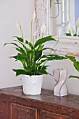 DESIGNER: CLARE MATTHEWS - HOUSEPLANT PROJECT - WHITE CONTAINER ON SIDEBOARD PLANTED WITH PEACE LILY - SPATHIPHYLLUM