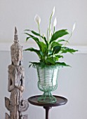DESIGNER: CLARE MATTHEWS - HOUSEPLANT PROJECT - METAL CONTAINER IN LIVING ROOM PLANTED WITH PEACE LILY - SPATHIPHYLLUM
