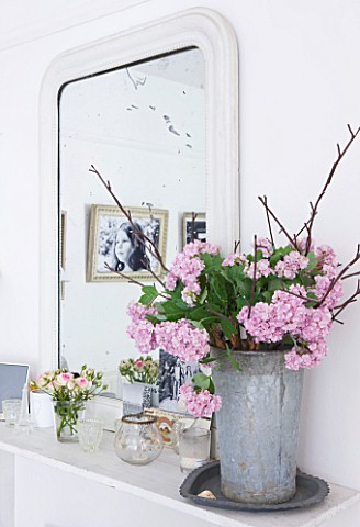 AMANDA_KNOX_HOUSE__GRANTHAM_WHITE_DINING_ROOM__WEATHERED_TIN_CONTAINER_ON_MANTELPIECE_WITH_HYDRANGEA