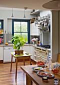 CHANTAL COADY HOUSE  LONDON -  VIEW FROM DINING AREA TO THE KITCHEN  WITH PLANT ON SMALL TABLE RAISED FROM COCOA BEANS FROM GRENADA