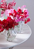AMANDA KNOX HOUSE  GRANTHAM: CONTAINERS ON TABLE WITH SWEET PEAS