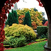 VIEW FROM THE CLOISTERS TO THE CHURCH WITH ACERS AND LAWSON CYPRESS. DINMORE MANOR GARDEN  HEREFORD & WORCESTER