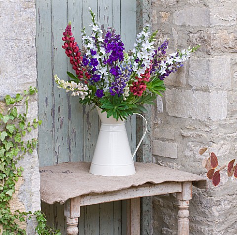 THE_GARDEN_AND_PLANT_COMPANY__HATHEROP_CASTLE__CIRENCESTER__GLOUCESTERSHIRE_JUG_WITH_LUPINSBESIDE_PA