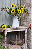 THE GARDEN AND PLANT COMPANY  HATHEROP CASTLE  CIRENCESTER  GLOUCESTERSHIRE: WHITE ENAMEL JUG WITH BLACKBERRIES AND SUNFLOWERS - HELIANTHUS SUN RICH