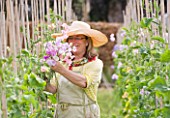 THE GARDEN AND PLANT COMPANY  HATHEROP CASTLE  CIRENCESTER  GLOUCESTERSHIRE: PATTIE WESTERN CUTTING SWEET PEAS IN THE WALLED GARDEN AT THE NURSERY