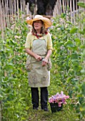 THE GARDEN AND PLANT COMPANY  HATHEROP CASTLE  CIRENCESTER  GLOUCESTERSHIRE: PATTIE WESTERN CUTTING SWEET PEAS IN THE WALLED GARDEN AT THE NURSERY