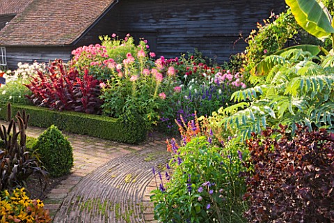 ULTING_WICK__ESSEX__PATH_WINDS_AROUND_BOX_EDGED_BORDERS_FILLED_WITH_CLEOME_SPINOSA__AMARANTHUS_VELVE
