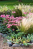 ULTING WICK  ESSEX - THE FRONT GARDEN IN AUTUMN WITH STIPA TENUISSIMA  SEDUM AND NERINES