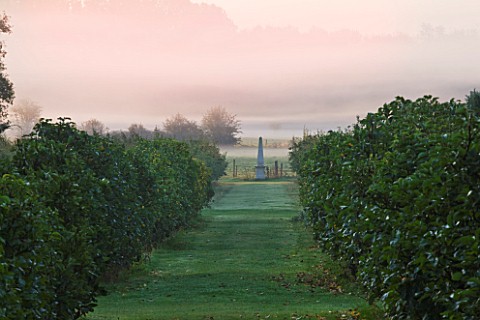 WATERPERRY_GARDENS__OXFORDSHIRE_VIEW_ALONG_AVENUE_OF_FRUIT_TREES_TO_OBELISK_AND_FIELDS_BEYOND_AT_DAW