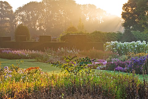 WATERPERRY_GARDENS__OXFORDSHIRE_THE_TRIAL_BEDS_AT_DAWN_WITH_THE_SHOOFLY_PLANT__NICANDRA_PHYSALODES