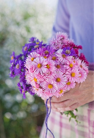 WATERPERRY_GARDENS__OXFORDSHIRE_GIRL_WITH_POSIE_OF_AUTUMN_FLOWERING_ASTERS__STYLING_BY_JACKY_HOBBS