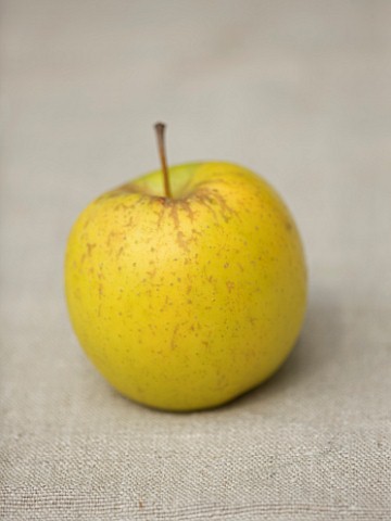 APPLE__MALUS_GREENSLEEVES__RHS_LONDON_AUTUMN_HARVEST_SHOW_2011_STYLING_BY_JACKY_HOBBS