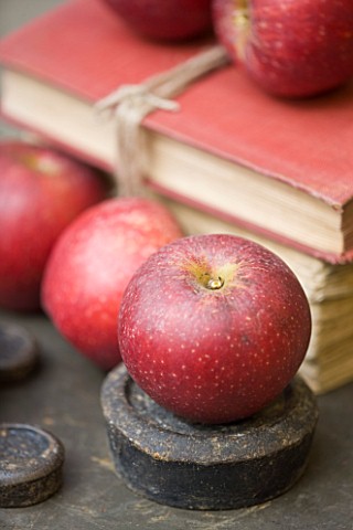 APPLES__MALUS_RED_WINDSOR__RHS_LONDON_AUTUMN_HARVEST_SHOW_2011_STYLING_BY_JACKY_HOBBS