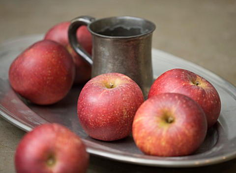 APPLES__MALUS_RED_WINDSOR__RHS_LONDON_AUTUMN_HARVEST_SHOW_2011_STYLING_BY_JACKY_HOBBS