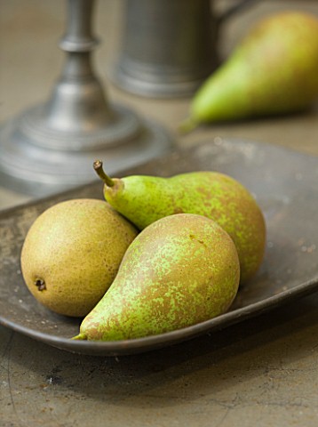 PEAR_CONFERENCE__RHS_LONDON_AUTUMN_HARVEST_SHOW_2011_STYLING_BY_JACKY_HOBBS