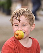 APPLE BOBBING - WATERPERRY APPLE DAY EVENT  WATERPERRY GARDENS  OXFORDSHIRE