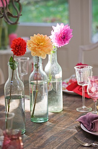 JACKY_HOBBS_HOUSE__LONDON_BRIGHT_AUTUMN_TABLE_SETTING_WITH_VINTAGE_FRENCH_BOTTLES_EACH_HOLDING_A_DAH
