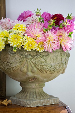 JACKY_HOBBS_HOUSE__LONDON_STONE_INDOOR_URN_FILLED_WITH_MIXED_DAHLIA_BOUQUET