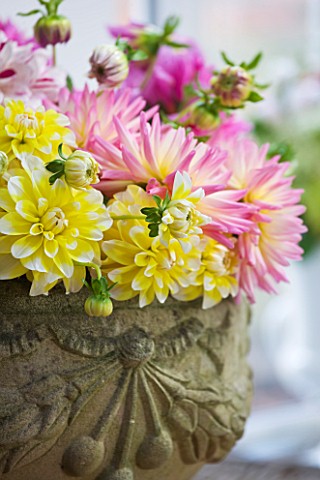 JACKY_HOBBS_HOUSE__LONDON_STONE_INDOOR_URN_FILLED_WITH_MIXED_DAHLIA_BOUQUET