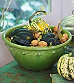 JACKY HOBBS HOUSE  LONDON: VINTAGE FRENCH GREEN BOWL OF AUTUMN SQUASH AND WALNUTS