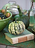 JACKY HOBBS HOUSE  LONDON: DECORATIVE DISPLAY OF GREEN AND STRIPED SQUASH ON GREEN TABLE