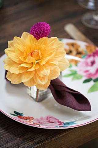 JACKY_HOBBS_HOUSE__LONDON_TABLE_SETTING_WITH_FLORAL_PLATE__BURGUNDY_NAPKIN_AND_APRICOT_AND_CERISE_DA