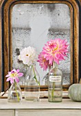 JACKY HOBBS HOUSE  LONDON: DAHLIAS TWILIGHT TIME  DAHLIA FLANIGAN WHITE AND DAHLIA GAY PRINCESS IN GLASS BOTTLES ON DRESSING TABLE BY MIRROR