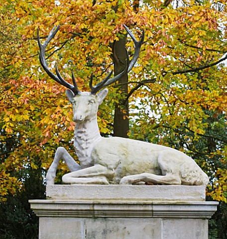 SALING_HALL__ESSEX_A_STONE_STAG_SCULPTURE_AT_THE_EAST_END_OF_CROSS_WALK_SURROUNDED_BY_AUTUMN_COLOUR