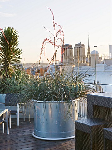 ROOF_GARDEN_AT_THE_HOLIDAY_INN__RUE_DANTON__PARIS_DESIGNERS_ERIC_OSSART_AND_ARNAUD_MAURIERES