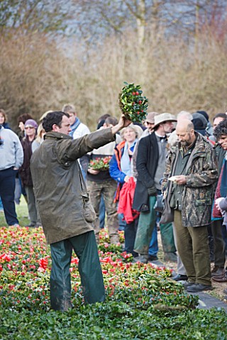 HOLLY_AND_MISTLETOE_AUCTION__TENBURY_WELLS__WORCESTERSHIRE__HOLLY_BEING_AUCTIONED_BY_HARVEY_RAYBOLDE