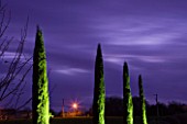 CHATEAU DU RIVAU  LOIRE VALLEY  FRANCE: VIEW OF PENCIL CYPRESS BY THE MAIN ENTRANCE OF THE CHATEAU LIT UP AT NIGHT