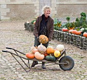 CHATEAU DU RIVAU  LOIRE VALLEY  FRANCE:  GARDENER WITH A BARROW FULL OF PUMPKINS BESIDE THE POTAGER