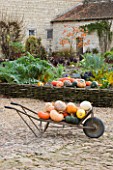 CHATEAU DU RIVAU  LOIRE VALLEY  FRANCE: A BARROW FULL OF PUMPKINS BESIDE THE POTAGER WITH THE GOLDEN FLEET BARN BEHIND