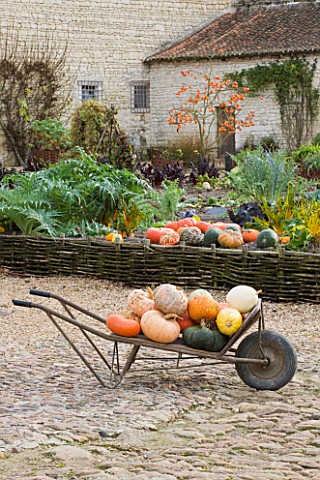 CHATEAU_DU_RIVAU__LOIRE_VALLEY__FRANCE_A_BARROW_FULL_OF_PUMPKINS_BESIDE_THE_POTAGER_WITH_THE_GOLDEN_